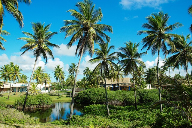 Découverte des îles paradisiaques peu connues